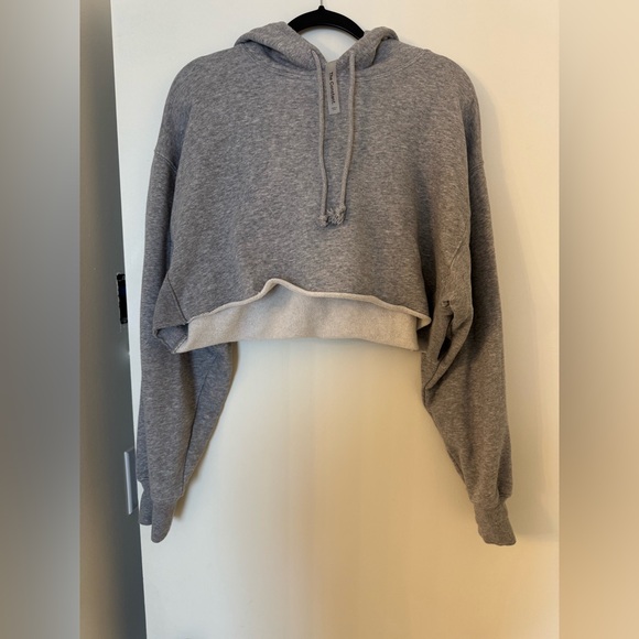 Aritzia - the constant crop hoodie - Picture 2 of 5